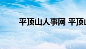 平顶山人事网 平顶山人力资源网站