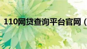 110网贷查询平台官网（网贷110安全专家）