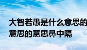 大智若愚是什么意思的意思 大智若愚是什么意思的意思鼻中隔