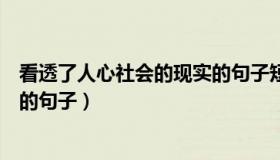 看透了人心社会的现实的句子短句（看透了人心社会的现实的句子）