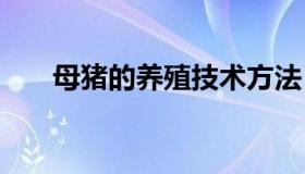 母猪的养殖技术方法 母猪养殖小知识