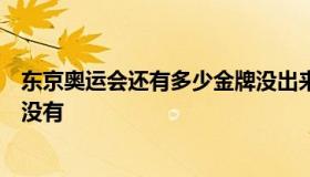 东京奥运会还有多少金牌没出来（东京奥运会还有多少金牌没有