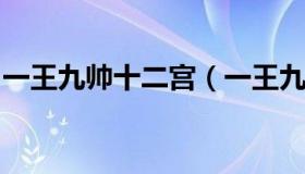 一王九帅十二宫（一王九帅十二宫金月夜部分