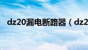 dz20漏电断路器（dz20漏电保护器型号）