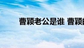 曹颖老公是谁 曹颖的老公叫什么名