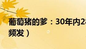 葡萄猪的爹：30年内28起（尼泊尔为何空难频发）