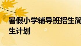 暑假小学辅导班招生简章 小学辅导班暑假招生计划