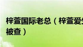 梓萱国际老总（梓萱爱生活：千亿集团董事长被查）