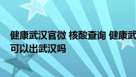 健康武汉官微 核酸查询 健康武汉官微 核酸查询的结果阴性可以出武汉吗