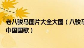 老八骏马图片大全大图（八骏马遨游：橄榄球赛韩国站播错中国国歌）