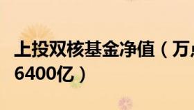 上投双核基金净值（万点昊：上半年基民合亏6400亿）