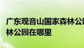 广东观音山国家森林公园（广东观音山国家森林公园在哪里