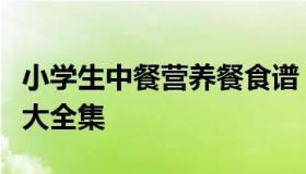 小学生中餐营养餐食谱（小学生健康中餐食谱大全集