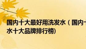 国内十大最好用洗发水（国内十大最好用洗发水(2021洗发水十大品牌排行榜)