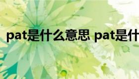 pat是什么意思 pat是什么意思中文怎么读）