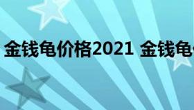 金钱龟价格2021 金钱龟价格2022最新价格）