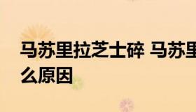 马苏里拉芝士碎 马苏里拉芝士碎不拉丝是什么原因