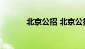 北京公招 北京公招网招聘系统