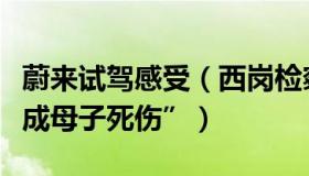 蔚来试驾感受（西岗检察：蔚来回应“试驾造成母子死伤”）