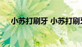 小苏打刷牙 小苏打刷牙会使牙齿变白吗