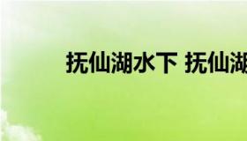 抚仙湖水下 抚仙湖水下死尸图片