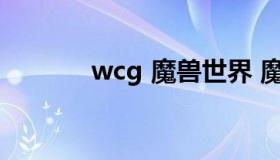 wcg 魔兽世界 魔兽wcg2021