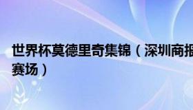 世界杯莫德里奇集锦（深圳商报：37岁莫德里奇告别世界杯赛场）