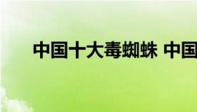 中国十大毒蜘蛛 中国十大毒蜘蛛 室内