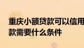 重庆小额贷款可以信用贷吗 重庆银行小额贷款需要什么条件