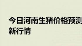 今日河南生猪价格预测 今日河南生猪价格最新行情