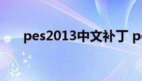 pes2013中文补丁 pes2013中文解说