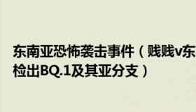 东南亚恐怖袭击事件（贱贱v东南亚秘史：9省份本土病例中检出BQ.1及其亚分支）