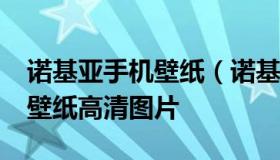 诺基亚手机壁纸（诺基亚手机壁纸2022最新壁纸高清图片