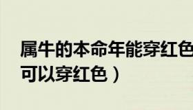 属牛的本命年能穿红色吗 属牛的本命年可不可以穿红色）