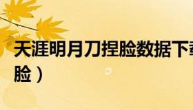 天涯明月刀捏脸数据下载（天涯明月刀游戏捏脸）