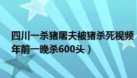 四川一杀猪屠夫被猪杀死视频（火锅情报站：杀猪女屠夫：年前一晚杀600头）