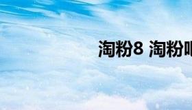 淘粉8 淘粉吧网页版