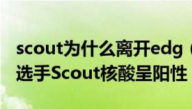 scout为什么离开edg（带带星辰：EDG中单选手Scout核酸呈阳性）