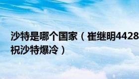 沙特是哪个国家（崔继明44280501：卡塔尔多地灯光秀庆祝沙特爆冷）