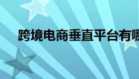 跨境电商垂直平台有哪些 垂直跨境模式