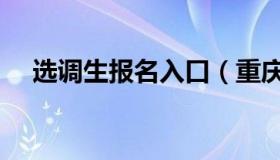 选调生报名入口（重庆选调生报名入口）