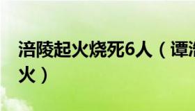 涪陵起火烧死6人（谭浩俊：重庆涪陵突发山火）