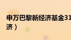 申万巴黎新经济基金310358（申万巴黎新经济）