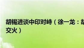 胡锡进谈中印对峙（徐一龙：胡锡进：印媒称中印军队发生交火）