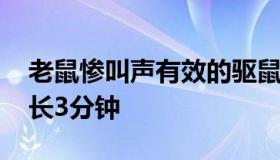 老鼠惨叫声有效的驱鼠法 老鼠惨叫声驱鼠时长3分钟