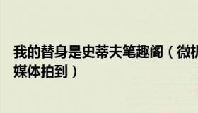 我的替身是史蒂夫笔趣阁（微机观察：疑似泽连斯基替身被媒体拍到）