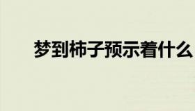 梦到柿子预示着什么 梦见柿子啥意思