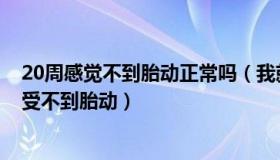 20周感觉不到胎动正常吗（我就是老艳：孕妈阳性第2天感受不到胎动）