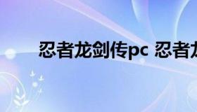 忍者龙剑传pc 忍者龙剑传pc版mod