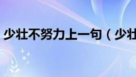 少壮不努力上一句（少壮不努力的后一句是）